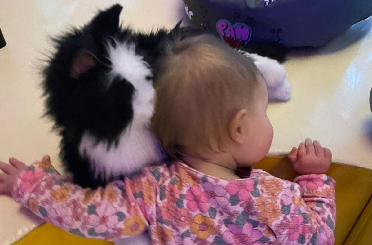 07a1358d-5d8f-4975-b04a-5180280cfabc